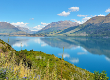 1770088999214265.png 3.png