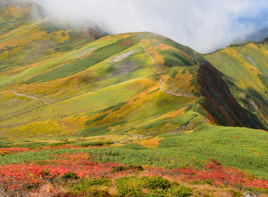 在编制水土保持方案时，应注意新的水土保持标准的几个变化?