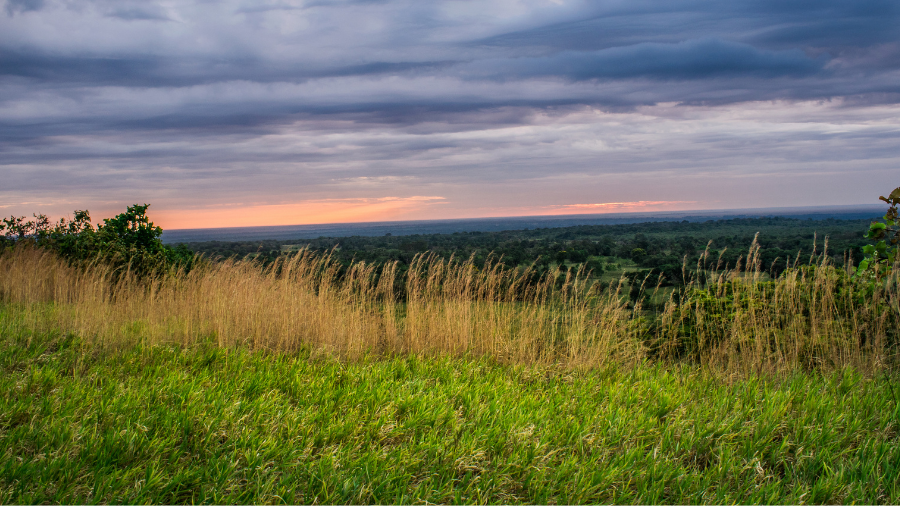 三级页面 (22).png