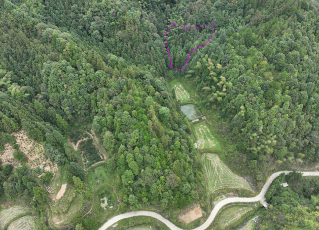 通道县坪坦风电场项目水保方案获批