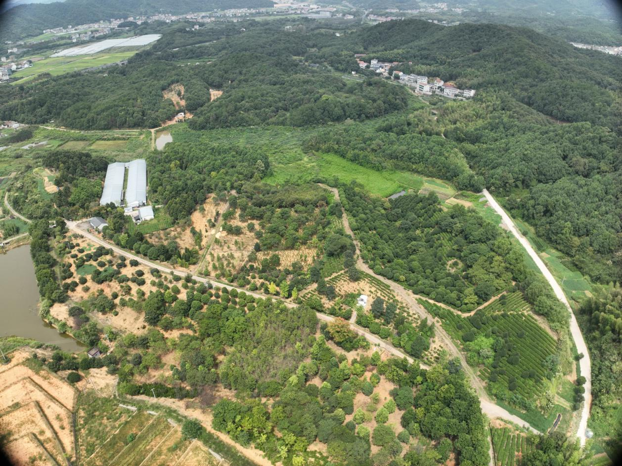 深圳源远水利完成首个浙江省厅审批项目——诸暨市陈宅镇30.9MW农光互补光伏项目水保方案