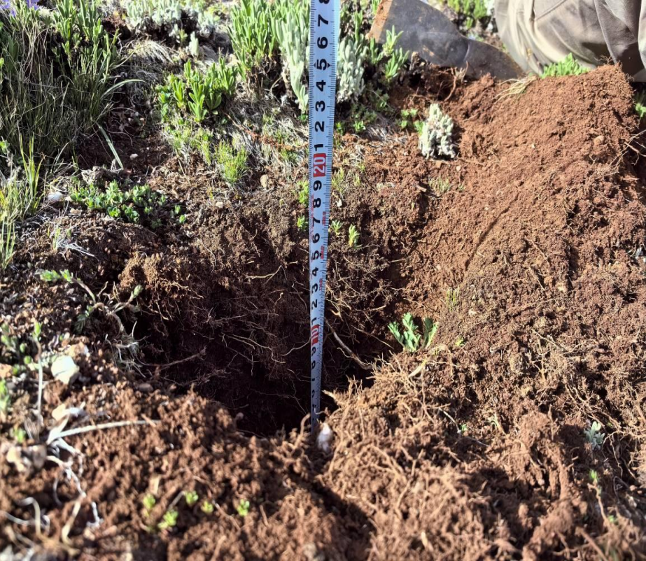 深圳源远水利完成四川首个省厅审批项目——甘孜得荣白松二期光伏发电项目水保方案